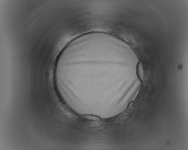 X0000094210098200711241708