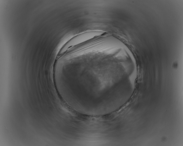 X0000094210099200711241708