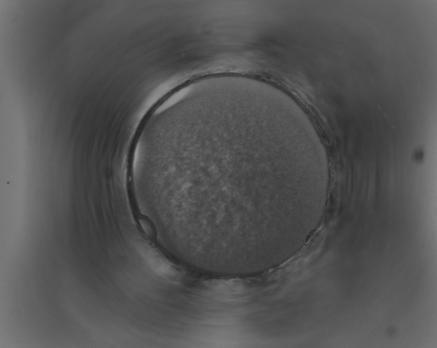 X0000094210100200711241708