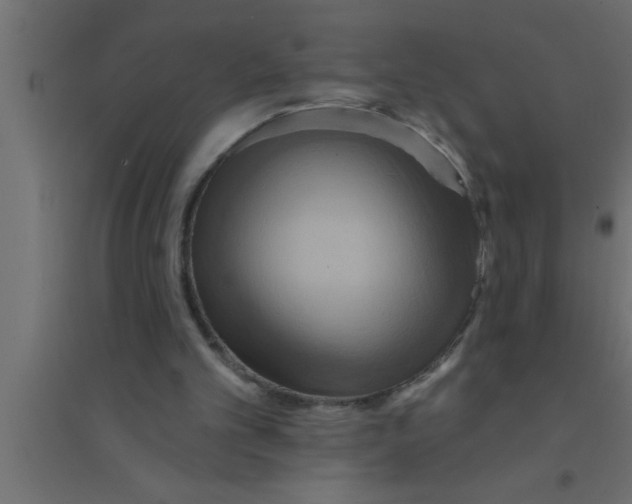 X0000094210101200711241708