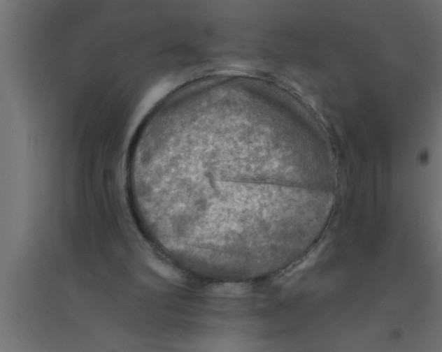 X0000094210102200711241708