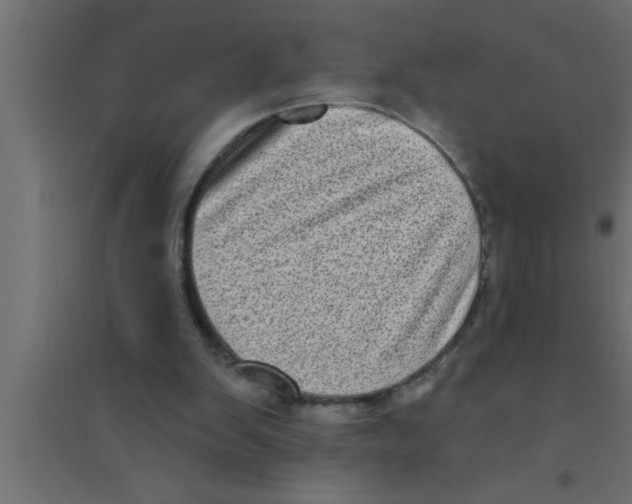 X0000094210103200711241708