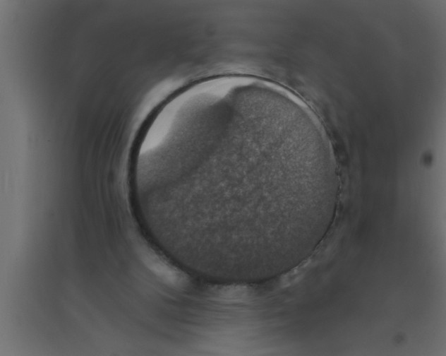 X0000094210104200711241708