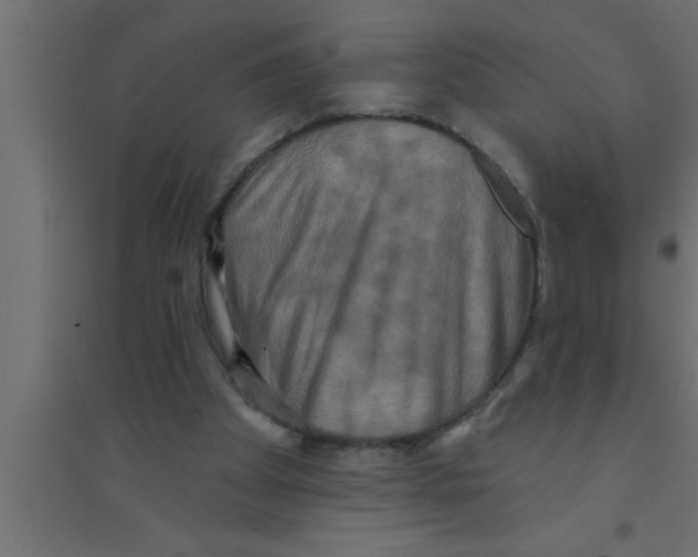 X0000094210105200711241708