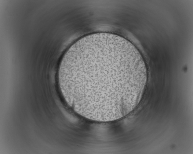 X0000094210106200711241708