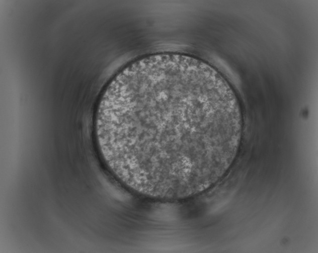 X0000094210107200711241708