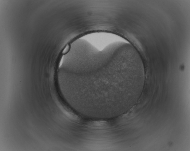 X0000094210108200711241708