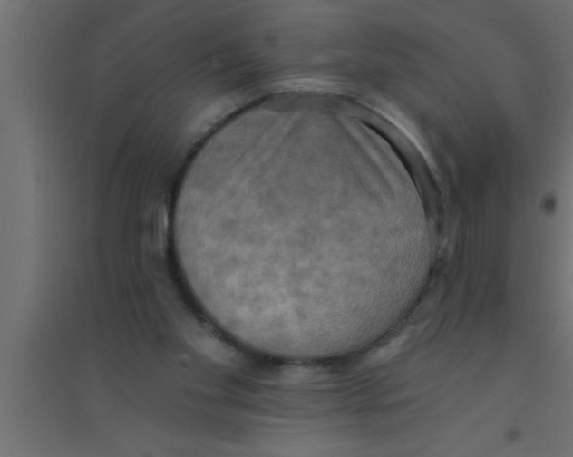 X0000094210109200711241708