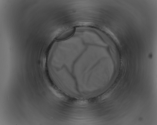 X0000094210110200711241708