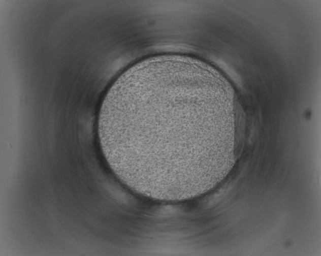 X0000094210111200711241708