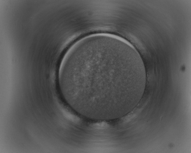 X0000094210112200711241708