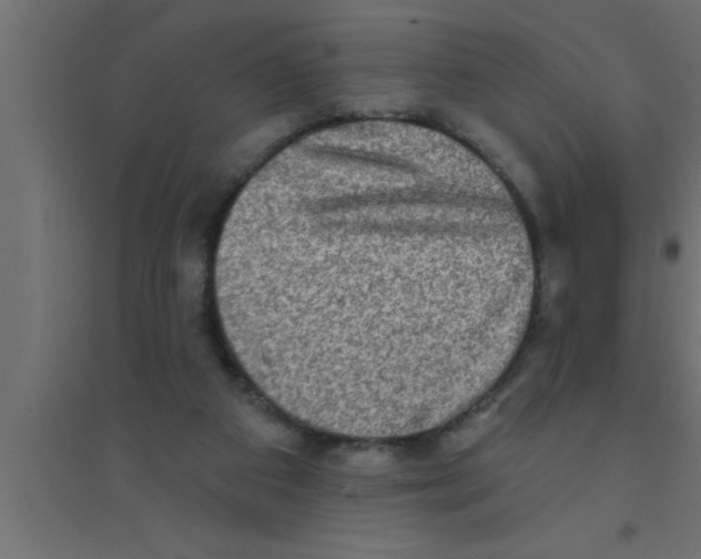 X0000094210113200711241708