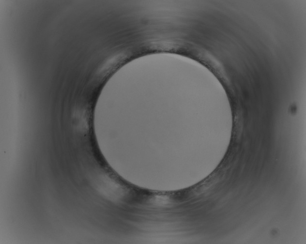 X0000094210114200711241708