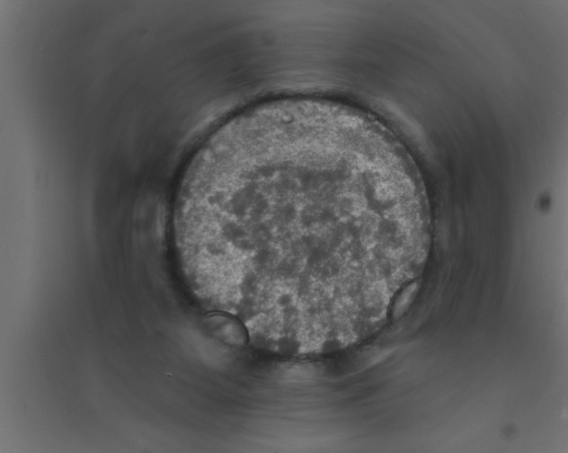 X0000094210115200711241708