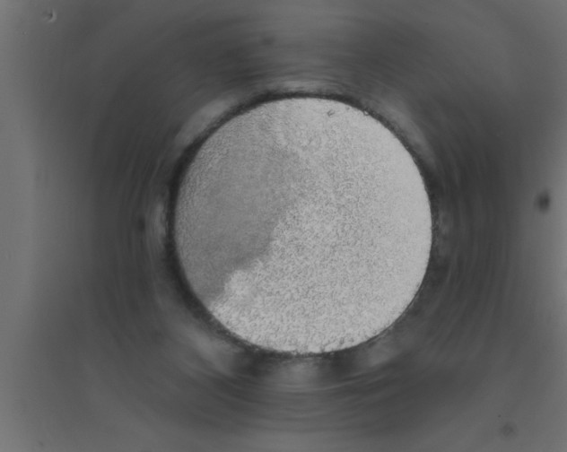 X0000094210116200711241708