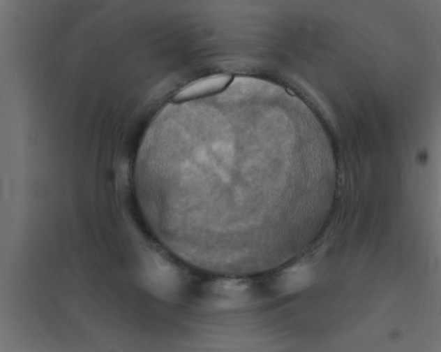 X0000094210117200711241708
