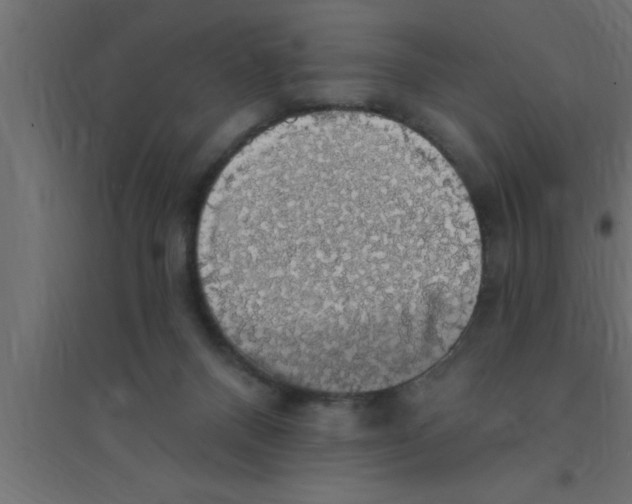 X0000094210120200711241708