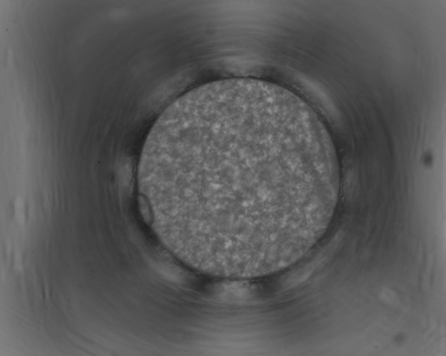 X0000094210121200711241708