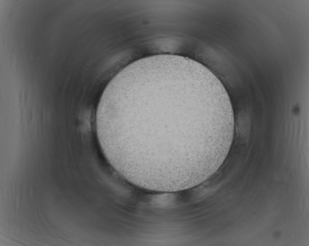 X0000094210122200711241708