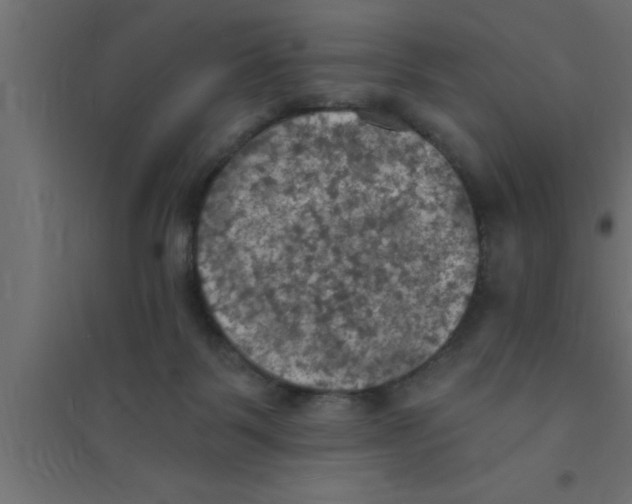 X0000094210123200711241708