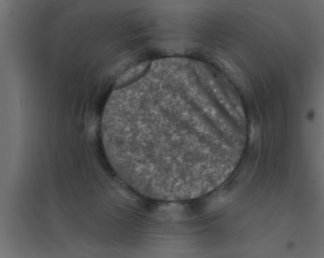 X0000094210125200711241708