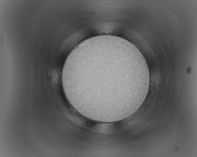 X0000094210126200711241708