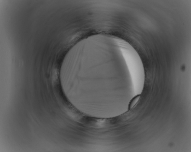 X0000094210130200711241708