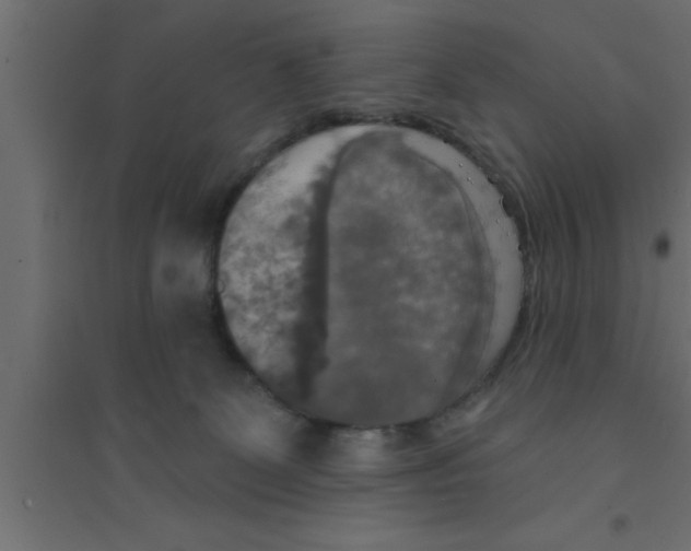 X0000094210131200711241708