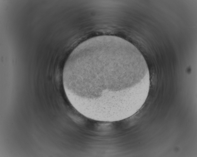 X0000094210132200711241708