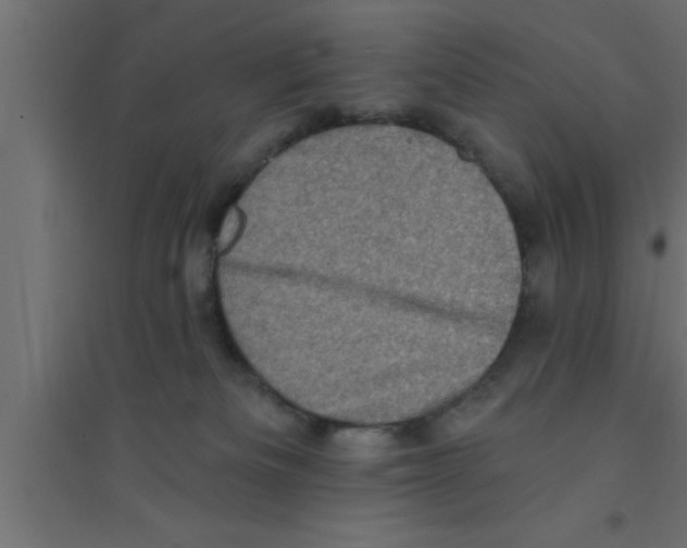 X0000094210133200711241708