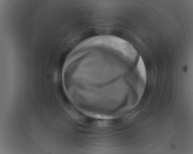 X0000094210134200711241708