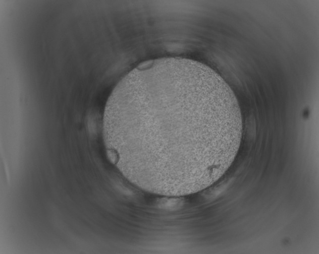 X0000094210135200711241708