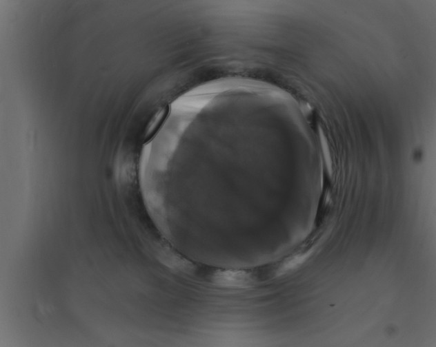 X0000094210137200711241708
