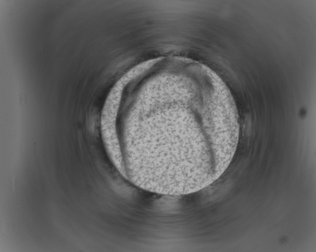 X0000094210138200711241708