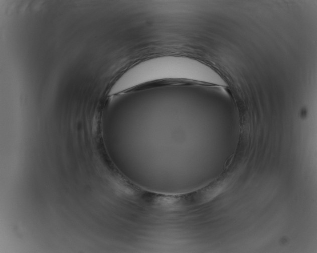 X0000094210139200711241708