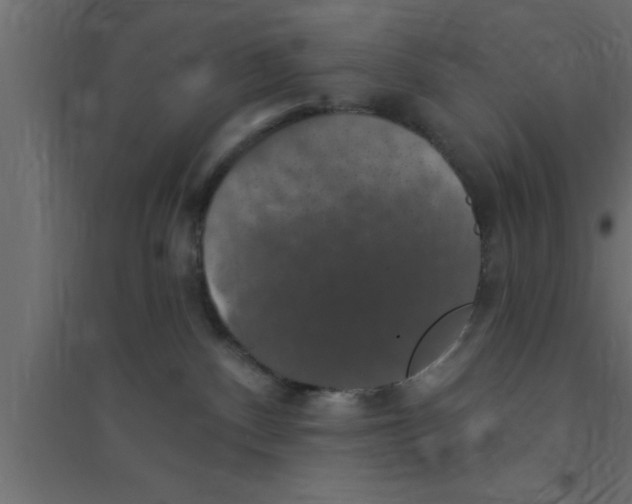 X0000094210140200711241708