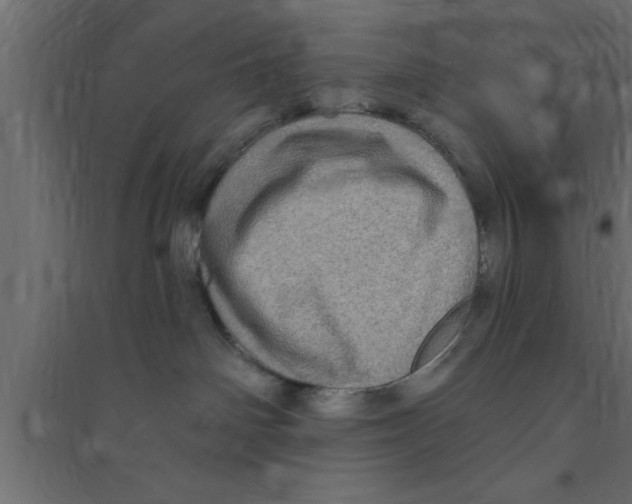 X0000094210142200711241708