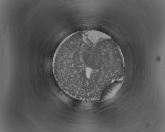 X0000094210144200711241708