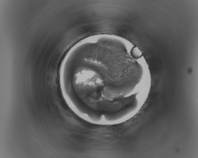 X0000094210146200711241707
