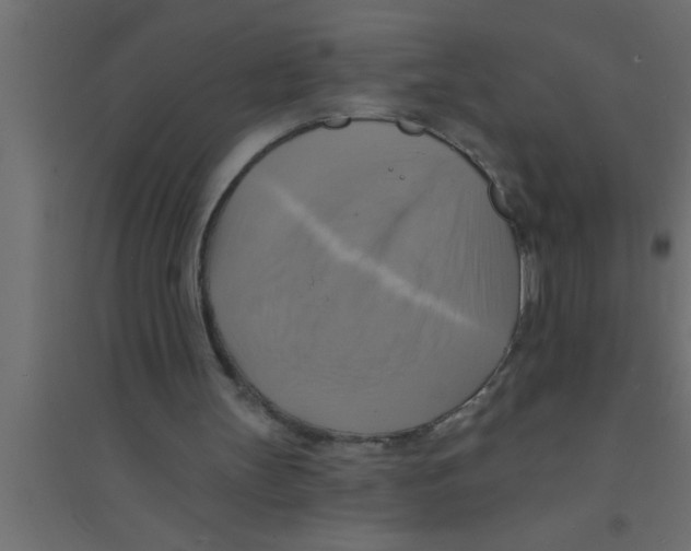 X0000094210147200711241707
