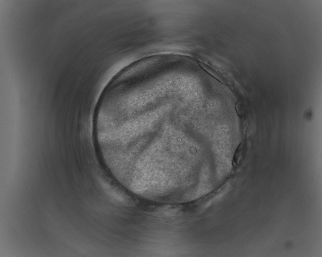 X0000094210148200711241707