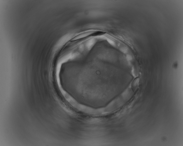 X0000094210149200711241707