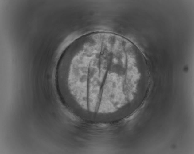X0000094210151200711241707