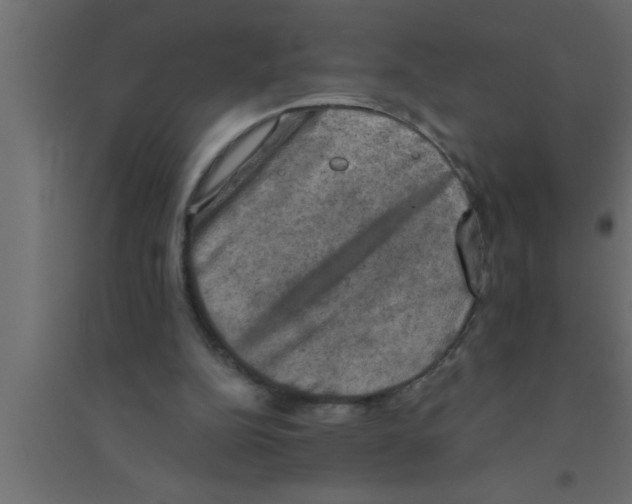 X0000094210152200711241707