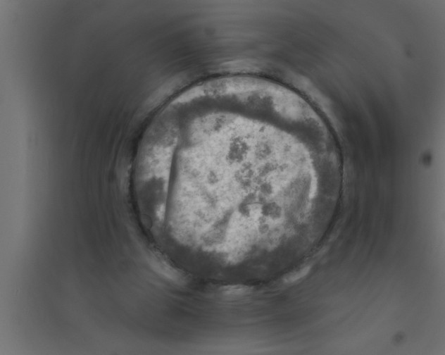 X0000094210153200711241707