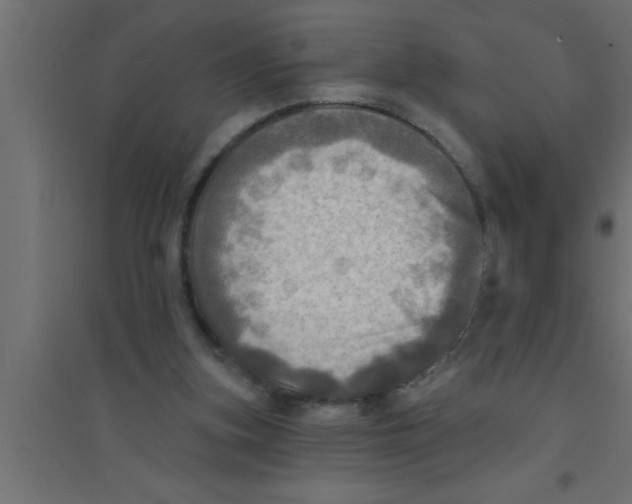 X0000094210155200711241707