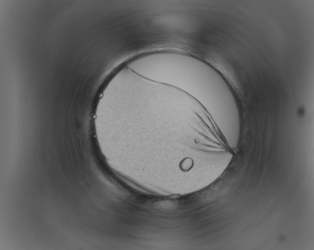 X0000094210156200711241707