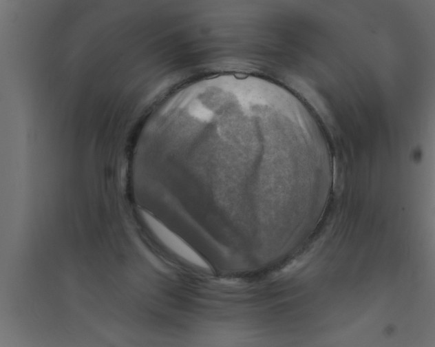 X0000094210157200711241707