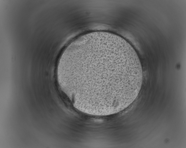 X0000094210159200711241707