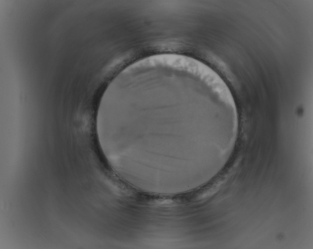 X0000094210161200711241707